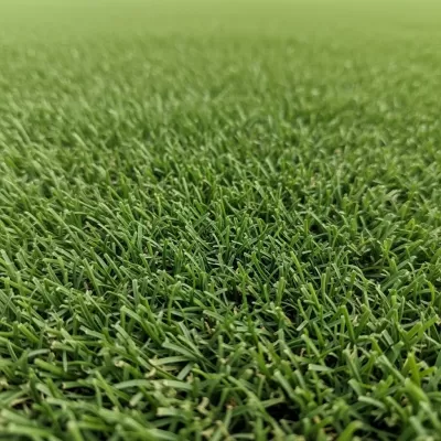 Imagen PNG para descargar